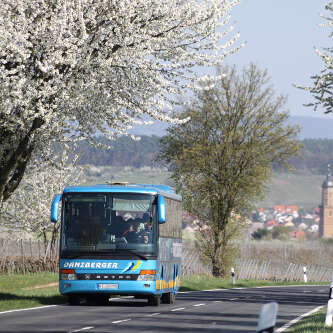 Mainschleifen-Freizeitbusse